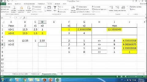 Programación Entera