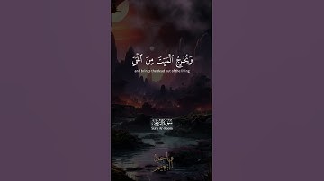 يُخْرِجُ الْحَيَّ مِنَ الْمَيِّتِ وَيُخْرِجُ الْمَيِّتَ مِنَ الْحَيِّ..سورة الروم للشيخ المنشاوي