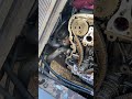 Ford Transit 2 4 TDE Timing Chain Automobile Mechanic Motovlog Repair 
