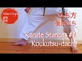 Karate Stances # 2: Koukutsu-dachi 空手の立ち方、後屈立ち【Akita's Karate Video】