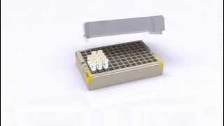 Finding the Right Ambion® siRNA