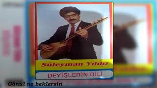 Süleyman yıldız / Gönül ne beklersin Resimi