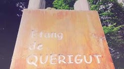 Étangs de querigut