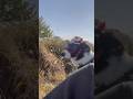 Ride on riverside