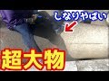 穴釣りで超大物！釣り初挑戦の男に大物がヒット【穴釣り】