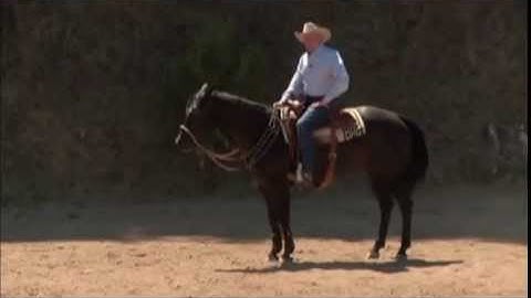 How to Put Energy in the Lazy Horse