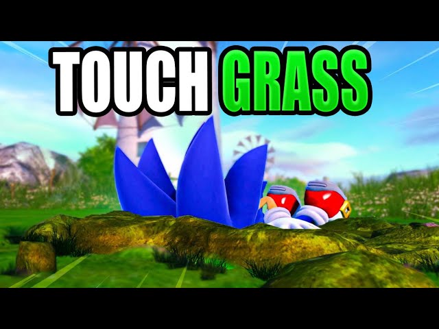 Touching Grass Simulator on the 3DS 