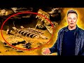 Elon Musk REVELA HORRIBLE DESCUBRIMIENTO DE LA NASA sobre Marte