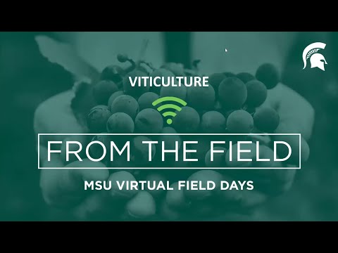 Viticulture Virtual Field