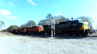 CSX & BNSF Train Chasing Georgia To Florida With Millenniumforce & Jawtooth