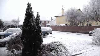 Winter in Limerick (10.01.2010)
