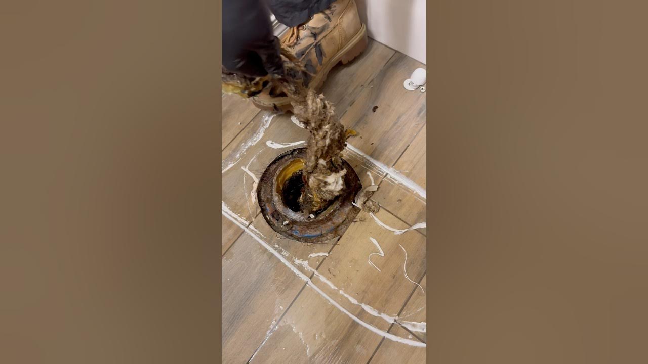 Toilet auger was unable to clear blockage, this is what we found. 