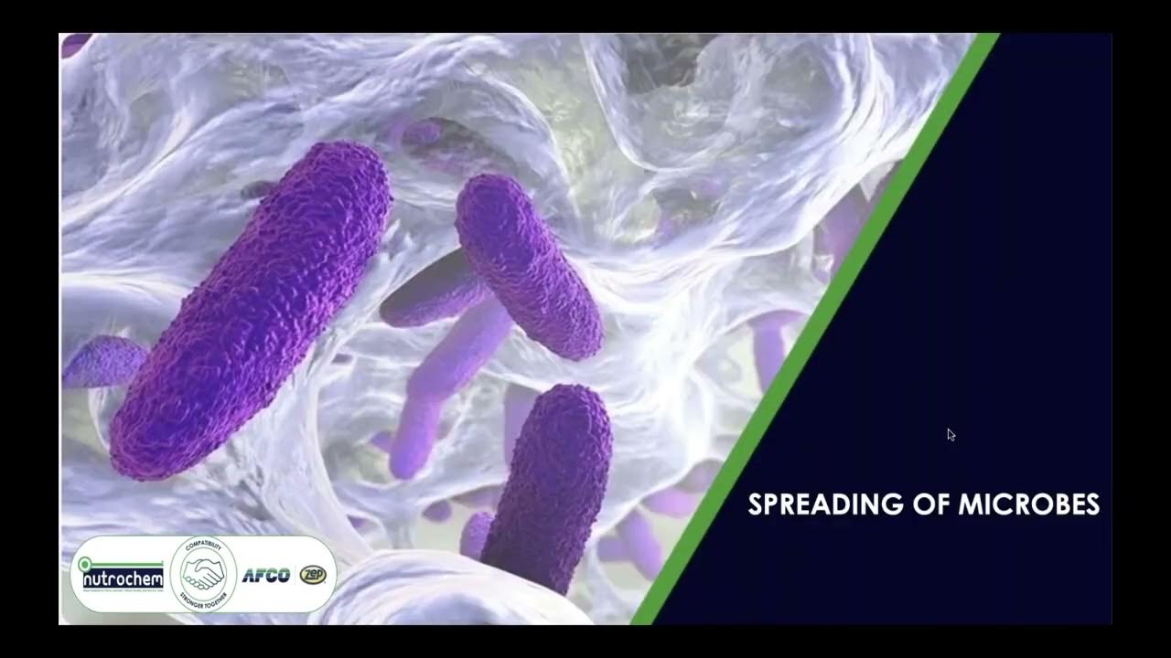 Introduction to Biofilms in the Dairy industry - with the DSA - YouTube