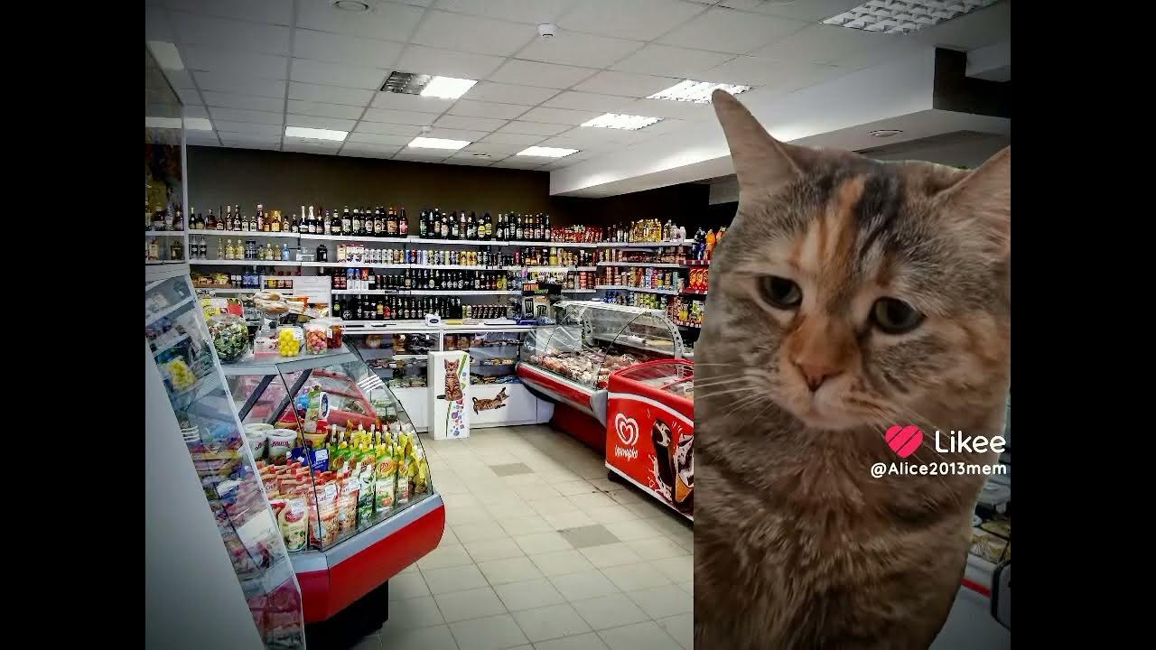 Я хочу кушать 🥺🍞 - YouTube