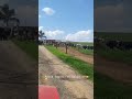 Batemos 50 Mil Litros De Leite😍🤠 Vida Real Rural