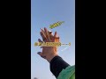 My pet can fly #Sugar Glider #Pet @Xiaomi Classmate (Sugar Glider Can Fly) (O3071990920)