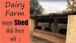 How to Make a Low Cost Dairy Shed