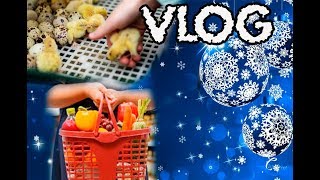Последняя суббота года. Жизнь в деревне. Семья Теклиных. Последняя суббота года. Жизнь в деревне. Семья Теклиных.