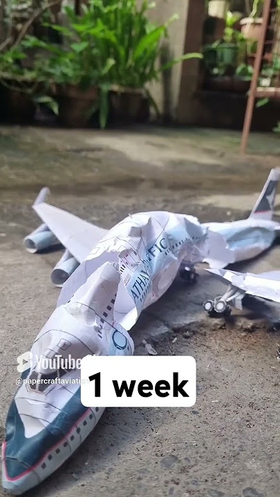 Abandoned plane crash #papercraft #aviation #avgeek #sad #trending #shorts