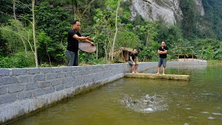 Duong's build fences to separate Pigs, Chickens and Fish