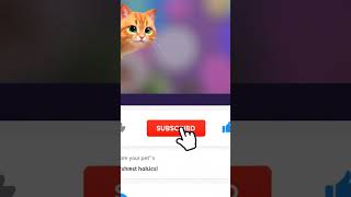 Get Ready For Your Pets Story Official Animation Announcement