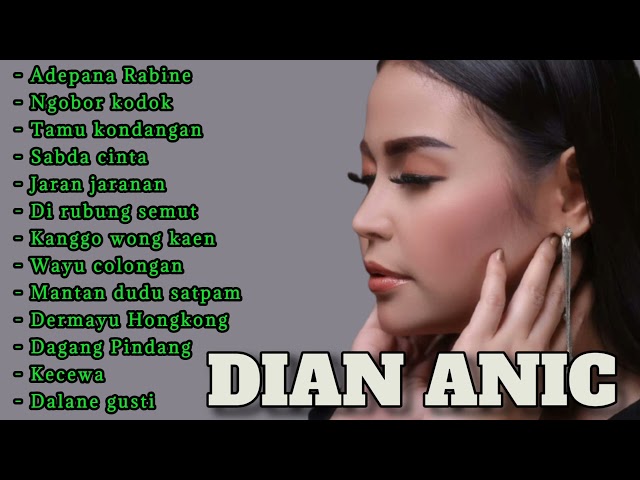 LAGU TARLING CIREBON FULL ALBUM DIAN ANIC class=