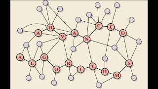 Famous Advanced Algorithms Summer 2025 Lecture 07 Net Worth