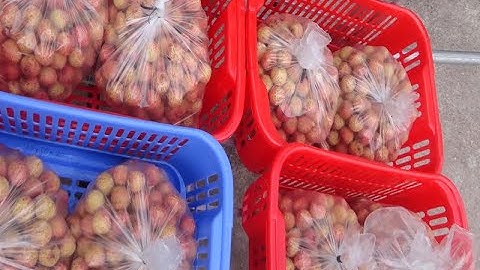 Bộ Công Thương tích cực tháo gỡ khó khăn cho xuất khẩu vải tươi lần đầu sang Nhật Bản