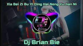 Xia Bei Zi Bu Yi Ding Hai Neng Yu Jian Ni 下辈子不一定还能遇见你  ✘ The Spectre Remix By Dj Brian Bie