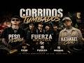 Corridos Tumbados Mix 2026 #2 - Natanael Cano, Peso Pluma, Fuerza Regida, Junior H CORRIDOS TUMBAOS