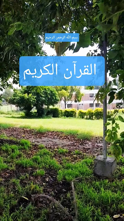Al  Quran | #shorts
