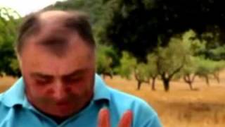 Joan Siulo - Vs - Lamo De Sovni De Son Suau