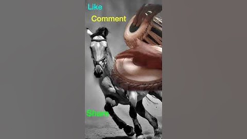 Horse Sound on Tabla  तबला पर घोड़े की चाल  Tabla Shorts Series  4 #TablaShortsSeriesByKulPrashMusic