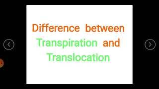 Différence entre la transpiration et la translocation
