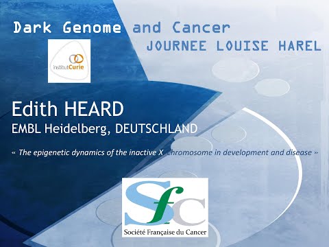 Dark Genome and Cancer- Journée Louis Harel -Edith Heard
