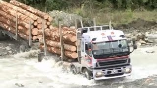 Big Fail Heavy Equipment BEST SKILLS TRUCK DRIVER | Heavy Trucks Carrying Wood Pulling In Mud Expert