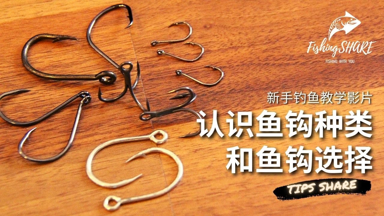 【FishingShare】认识鱼钩种类和鱼钩选择(新手钓鱼教学影片)| understanding the TYPES OF HOOKS ...