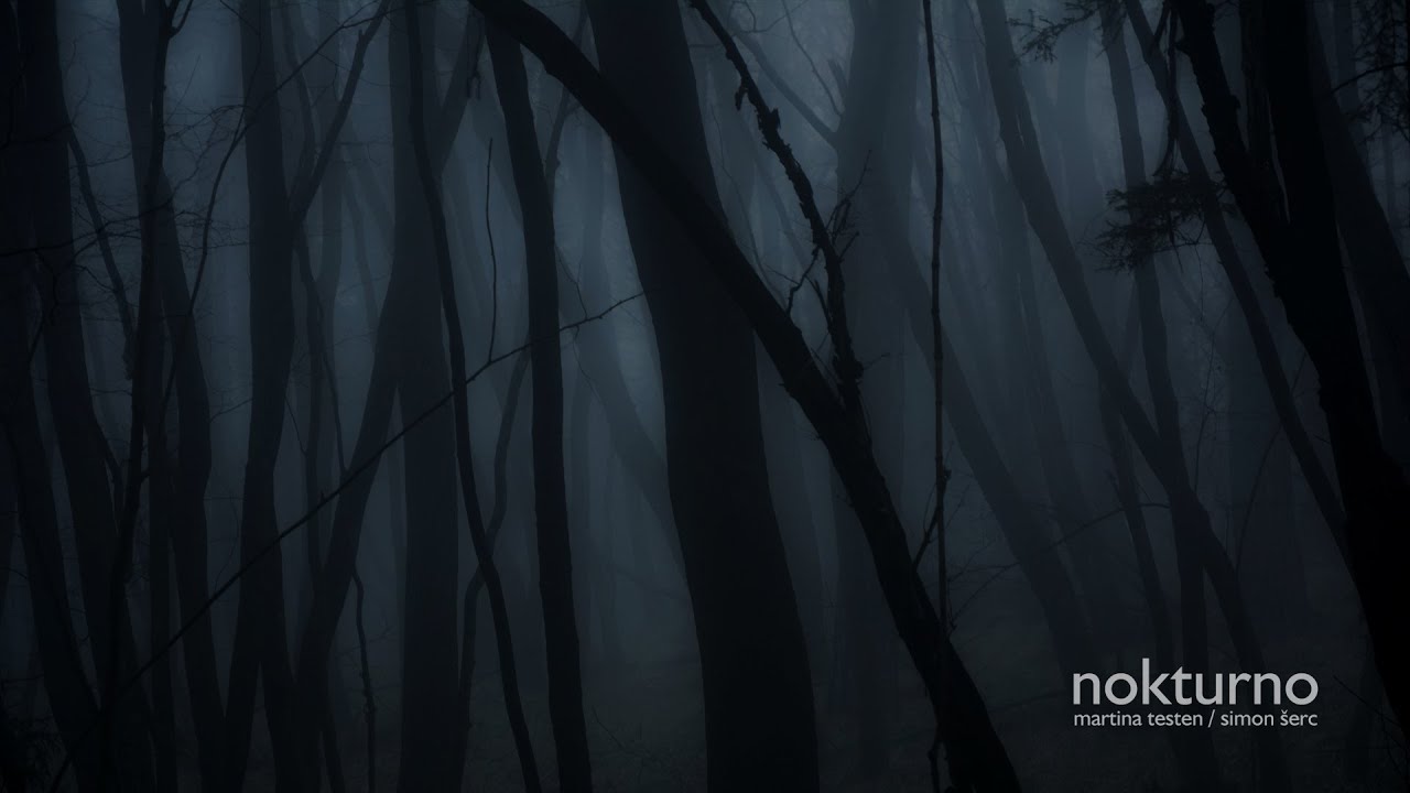 Martina Testen / Simon Šerc - Nokturno