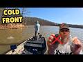 Why You SHOULD Throw The MINI MAX CHATTERBAIT MORE