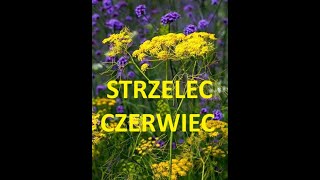 Tarot # STRZELEC # CZERWIEC 2024