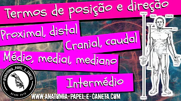 O que é termos anatômicos?