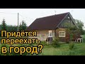 Переедем из ДЕРЕВНИ в ГОРОД из-за ПРОБЛЕМ? ХУТОР превратится в ДАЧУ?