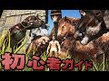 ARK Survival Evolved 初心者ガイド編 その１ まずは生き延びよう