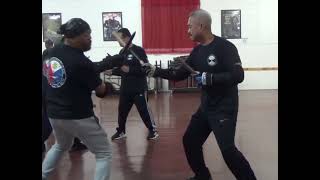 Stockton Multi-Style Escrima - Counter for Counter Training / Fernando Navarro & June Gotico