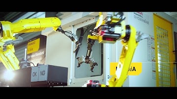 Bin picking cell with FANUC Area Sensor