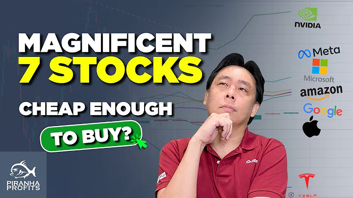 Magnificent 7 Stocks. Cheap Enough to Buy? - DayDayNews