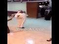 انسحاب تكتيكي ههههههه
