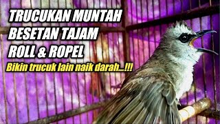 TRUCUKAN NGAMUK GACOR Mbeset Roll Ropel Bikin TRUCUK lain Ribut