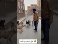 خل سعيد ينفعك ههه الثامن Lion اكسبلور الظروف Funny سبحان الله الرحمن ترند المراه دويتو 