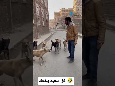 خل سعيد ينفعك ههه الثامن Lion اكسبلور الظروف Funny سبحان الله الرحمن ترند المراه دويتو 